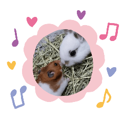 sirochan_20260329190432