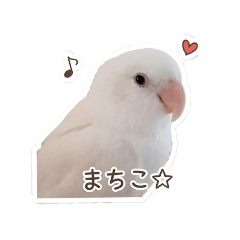 matiko_20260329192244