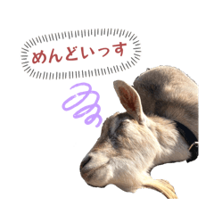 DATENSINOBATABATA_20260329192932