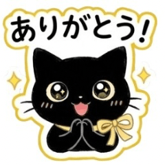 Luna, the Black Cat with a Ribbon