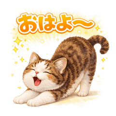 虎斑貓的療癒系日常貼圖