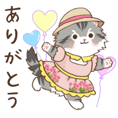 Norwegian Forest Cat Spring Outfit