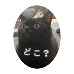 mozuku_20260327152049