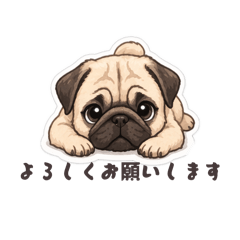 KOMUGI_20260327154217