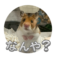 melonchan_20260327175200