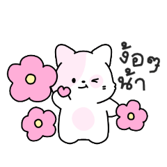 โมจิโมจิ แมวน้อยสีชมพู