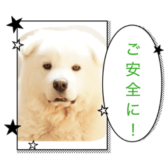 saori_20260329172624