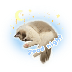 YUNOpanda_20260329171404