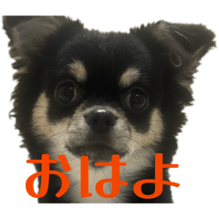 yuuki_20260329172713