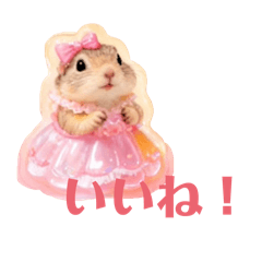 choco_20260329173033