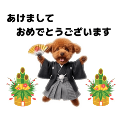 MATSUMOTO_20260329172854