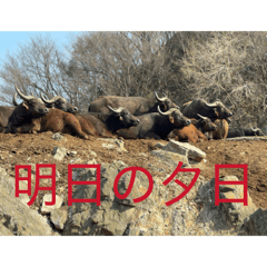 Yukitora_20260329200303