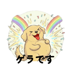 ENFP Golden Retriever