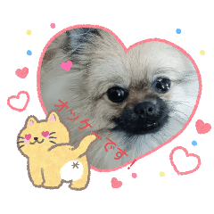 kimiiro__20260329201412