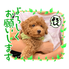 KANNA_20260329173855