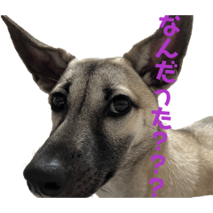 kusumo_20260329213226