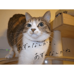 azutonankasa,azunonankane