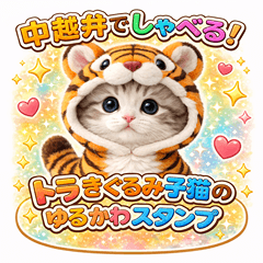 Cute Tiger Costume Kitten Niigata