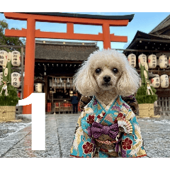 ayame_20260330104230