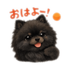 Anpon_20260327190630