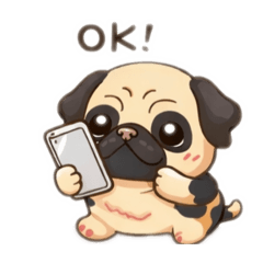 raira maru_20260327140155