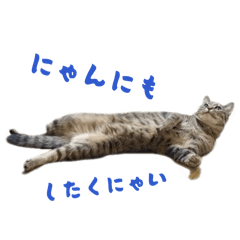Mer_20260329