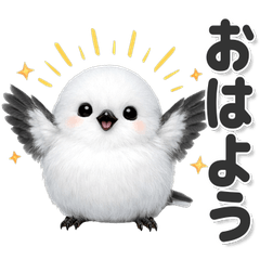 Perfect for everyday use Long-tailed tit