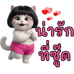 Little Cat with Chubby Cheeks