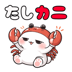 Cute Punny Squishy Animal Stickers