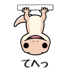 Japanese Gecko Standard