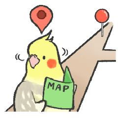 Meeting with cockatiels