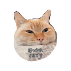 yukky_20260327220052