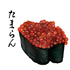 Everyday Sushi Phrases(40Pack)