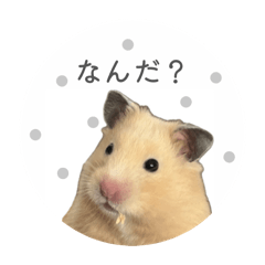 una una_20260327223408