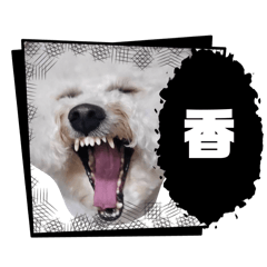 勾稚（卡哇伊☺️