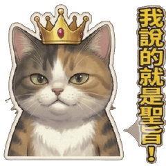 白爛貓球♥霸道喵喵