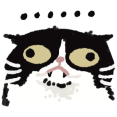 I can't live without cats.1.