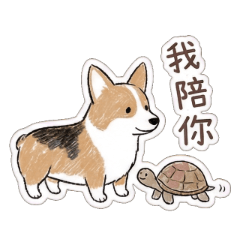 可愛柯基 暖心療癒加油站