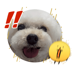 kinako_20260329175845