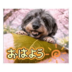 71gx31y_20260329193927