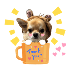 Coco mama_20260329204018