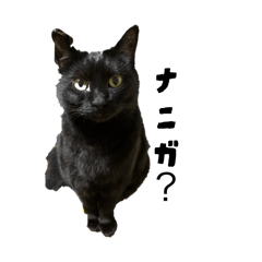 101leather_20260329204638