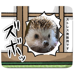 atsuhito_20260329205029