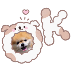 kotaro.0227_20260329215346