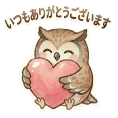 Everyday Polite Owl