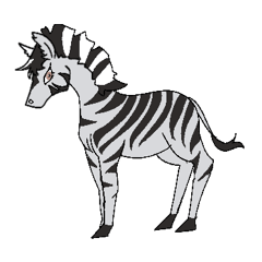 Wild zebra