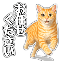 No.20 Ginger Cat Keigo