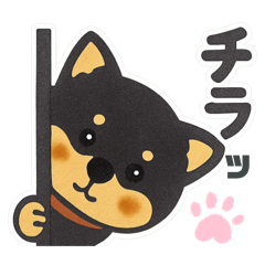 pafukko_20260328113309