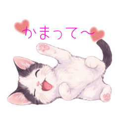 Cute Cat Stickers: Yuki, Maa & Warabi