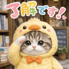飛び出す♡変身にゃんこ